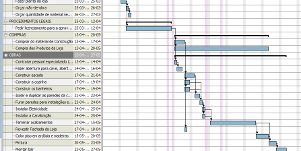 gantt project